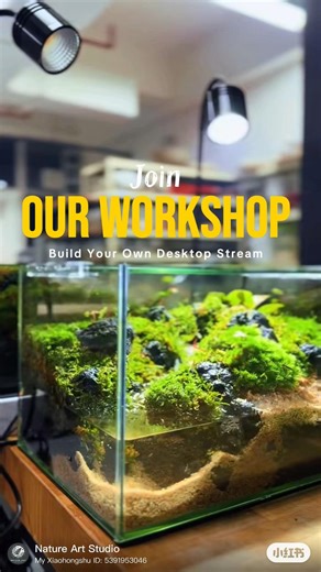 River stream terrarium making workshop #paludarium #terrarium