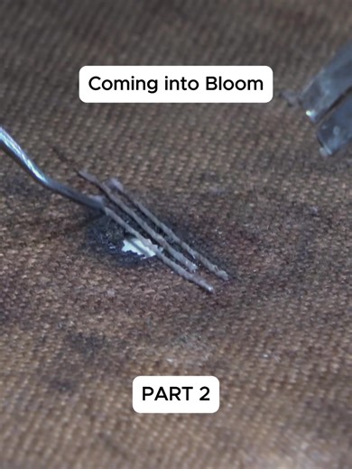 Oil Painting Restoration Techniques for Damaged Canvases