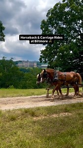 Saddle up for adventure this summer! 🐎 Ride the trails of Biltmore on horseback and take in stunning views of the estate, including a one-of-a-kind look at Biltmore House. Guided by pros, this family-friendly experience is unforgettable. Learn more and plan your ride: https://bit.ly/4dayxEE | Biltmore