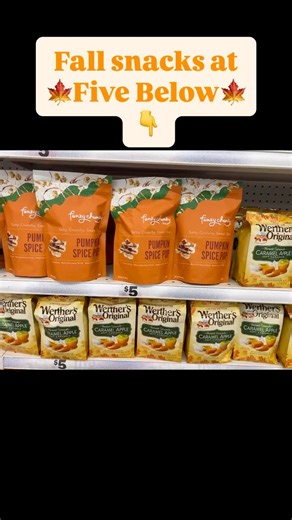 🍂🍁🥨Fall snacks at Five Below🥨🍁🍂 | Season Deals Lucy