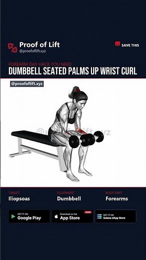 How to Do Dumbbell Seated Palms Up Wrist Curl — Forearms Workout 💪 | Proof of Lift