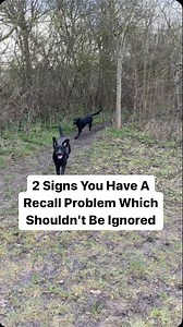 These are the signs that you need to do something about your dog’s recall ↩️ 1️⃣ Your dog regularly disappears out of sight for any length of time 2️⃣ They don’t respond IMMEDIATELY to your cue to recall, that’s the next red flag Both of these are symptoms of a developing problem on their own. Combined, you’ve got a recall problem which shouldn’t be ignored. 🫵 Here’s why: If you can’t see them, you don’t know what they’re doing, what dangers are present, or who they’re annoying. A delayed respo