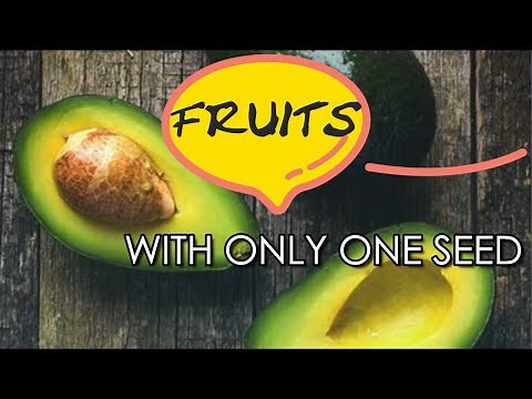 12 Fruits with one seed