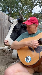 Let’s hope 2026 is a big year for change in the world, and change for the better! And to close the year off, here is ‘When the Children Cry’ by White Lion. It is a song about change in the world and fits perfectly with the how I’m feeling as we end this years #lifewithpigs #cow #jennathecalfwholived #tunetastictuesday #whitelion | Life With Pigs