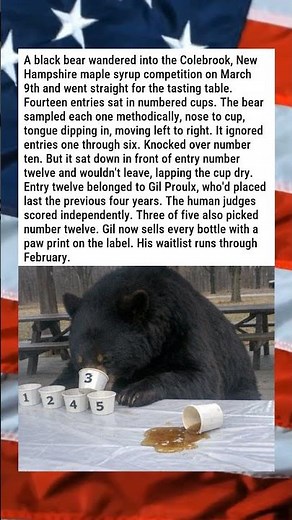 TOWN'S MAPLE SYRUP FESTIVAL JUDGED BY A BEAR 🐻🍁🏆