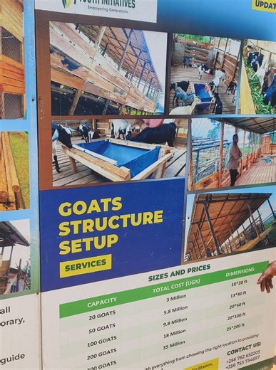 Goat Structures setup at Spark Africa.