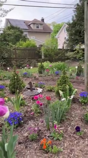 Plan Your Dream Garden This Spring