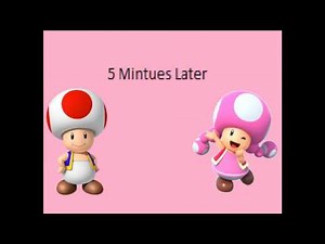 Toadette's Sleepover
