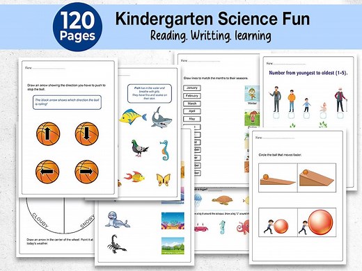 Science Worksheets for Kids 120 Printable, Basic Science Learning Fun Pages, Sorting & Matching, Push/pull, Kindergarten Science Activities - Etsy