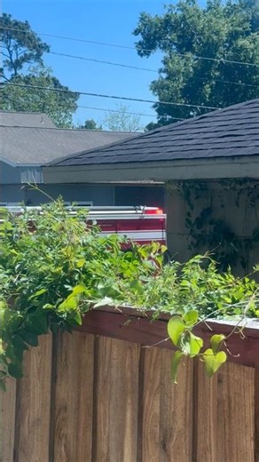 HFD Engine 26 YouTube Short