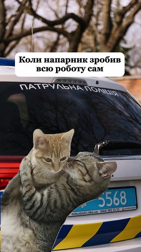 patrolpolice_chernihiv на TikTok