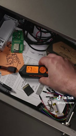 🐬 Did you know that there's a pet dolphin living inside your Flipper Zero? ⚡️ Don't ignore them - here's how to level up! #flipperzero #tech #gadgets
