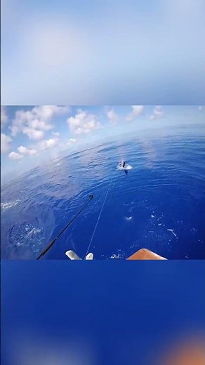 Bermuda Billfish Blast-Marlin Moments Part III. See link for full video! #marlinfishing #fishing