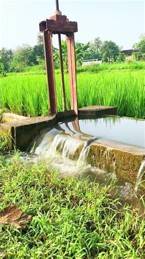 Peaceful Water Sounds for Relaxation #watersounds #relax #calming #sleeping #stressrelief