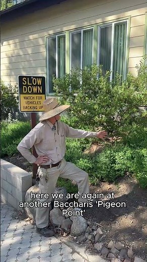 Wildfire Smart Plant Care: Woody Perennials Near Houses