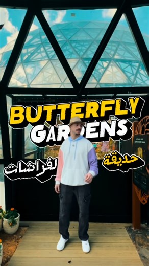 RIK.Tour on Instagram‎: "🦋 حديقة الفراشات – أبوظبي أول حديقة فراشات حيّة في أبوظبي 🌿 تجربة تمشي فيها بين أكثر من 10,000 فراشة داخل قِباب استوائية مكيّفة، بدون أقفاص، وكأنك داخل عالم مختلف وهادئ 🤍 الحديقة مقسّمة لقبتين: • قبة مستوحاة من آسيا • قبة مستوحاة من الأمريكيتين مع نباتات استوائية، شلالات، وبرك مائية 🦋 📍 الموقع: Al Qana – أبوظبي (بجانب الأكواريوم الوطني) ⏰ أوقات الزيارة: • أيام الأسبوع: 10:00 صباحًا – 8:00 مساءً • عطلة نهاية الأسبوع: 9:00 صباحًا – 8:00 مساءً ✨ أفضل وقت للزيارة: من 11
