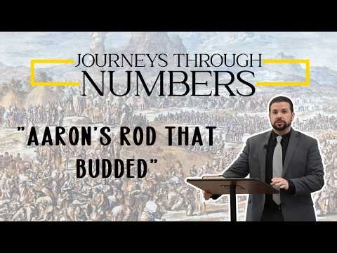 Aaron's Rod that Budded