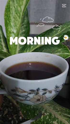 good morning #ayshaskitchen
