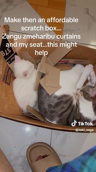 Kama uko na empty boxes this will take you sometime hut save you on cash… #diy #diyproject #catsoftiktok #cat #catsvideo #