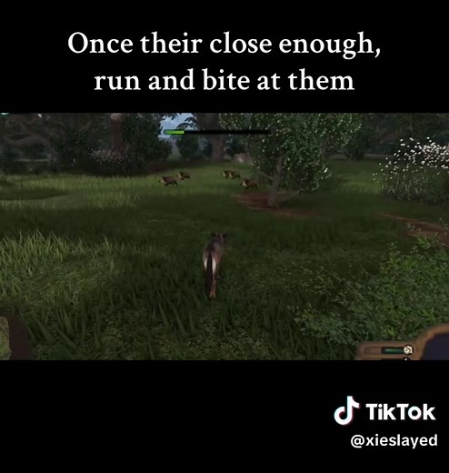 How to hunt peccerys alone in Ecos La Brea! #ecos #ecoslabrea #roblox #turorial #fyp