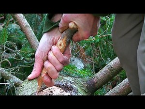 Bushcraft Skills for long term Wilderness Survival: How to make a bark container for cooking food.