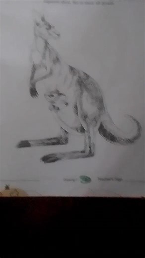 how to draw kangaroo drawing tutorial easy step by step #shortfeed #shortviral #kangaroo #viralart #