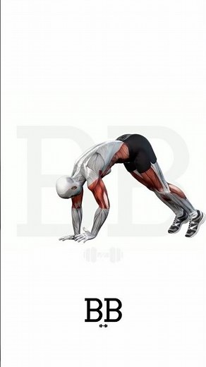 Inchworm Walkout (CORE): The Secret to Total Body Control & Mobility! 🐛🔥