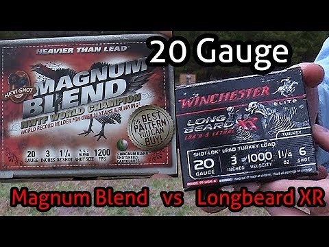 20 Ga Turkey Ammo Review feat. Longbeard XR and Magnum Blend.