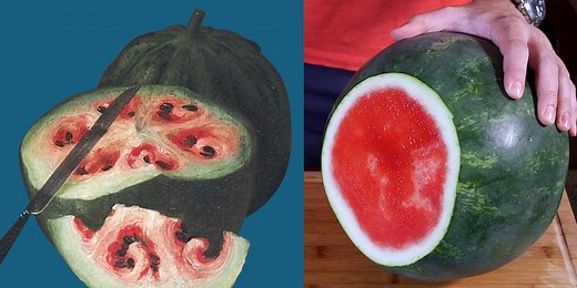 What fruits and vegetables looked like before we domesticated them