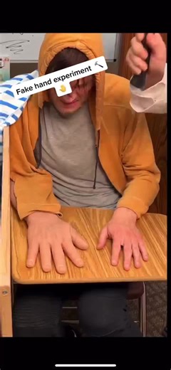 Fake Hand Hammer Experiment: Trick Your Brain!