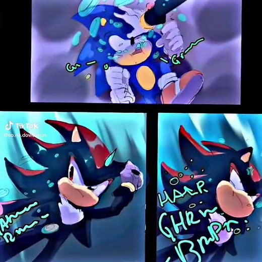 Sonic and Shadow: Love Story in Sonic Prime Universe