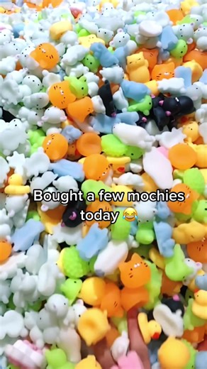 Fun Toy Trade with Mochies Squishies