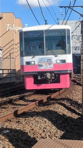 ドリームトレイン 2026 (Dream Train 2026) headmark. Shin-Keisei 8800 (8803) #japan #train #鉄道 #電車 #railway
