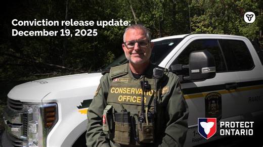 Conviction release for December 19, 2025. 🚨 Two individuals from the United States have been fined a total of $3,260 for the following fishing violations: A male individual of Dayton, Ohio pleaded guilty to catching and retaining fish during the closed season and possessing fish that had been skinned so that the species could not be easily identified. He was fined a total of $1,630 and is prohibited from possessing an Ontario fishing licence or engaging in any fishing activities in Ontario for 