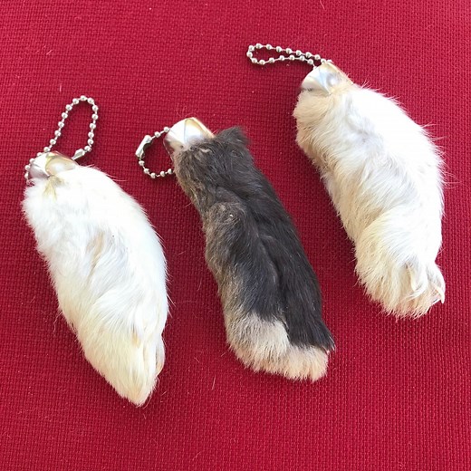 GENUINE Real Lucky Rabbit’s Foot Keychain Set of 3 - Etsy