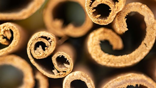 People Are Only Just Finding Out Where Cinnamon Comes From