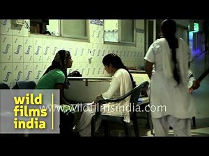 Small town medical support in rural Uttar Pradesh