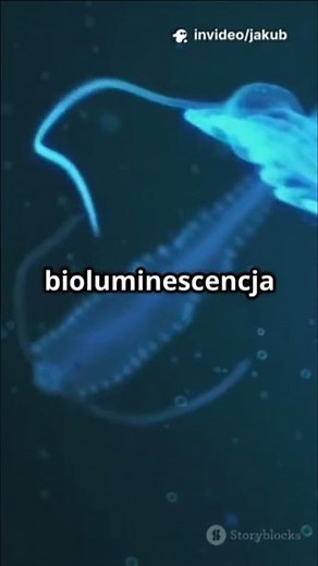 5 NAJWIĘKSZYCH TAJEMNIC oceanu, które do dziś nie mają wyjaśnienia 🌊🤯