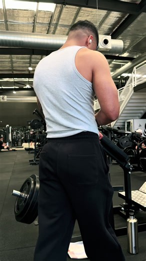 Essential Back Workout for Bulking: Tips and Techniques