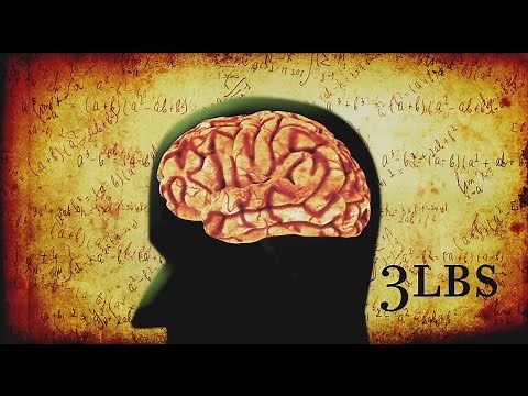 Can Coding Boost Your Brain?