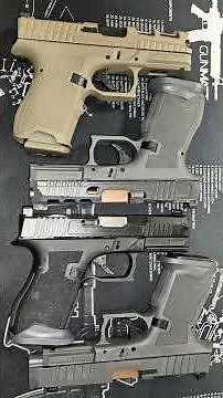 Palmetto State Armory Dagger Compact Beauty