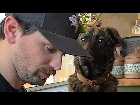 Rescue dog hilariously 'melts' for man