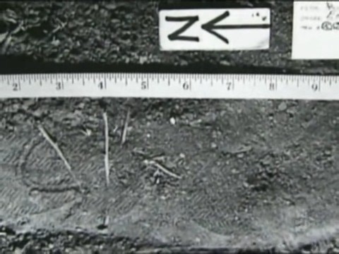 3.5K views · 64 reactions | Forensic Files Season 7 Episode 06 Part01 : A Bite Out of Crime #forensicfiles | Forensic Files - Global Online | Facebook