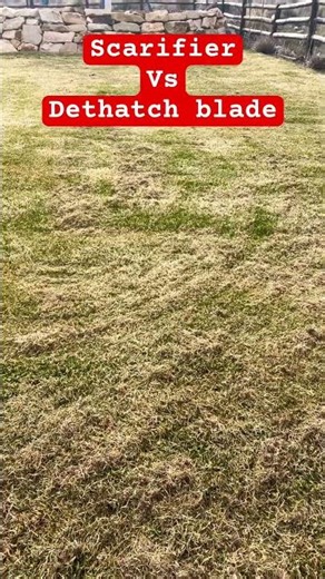 Dethatching blade vs scarifier