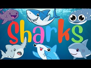 learning video of sharks for kids- Learning Sea Animals for Kids