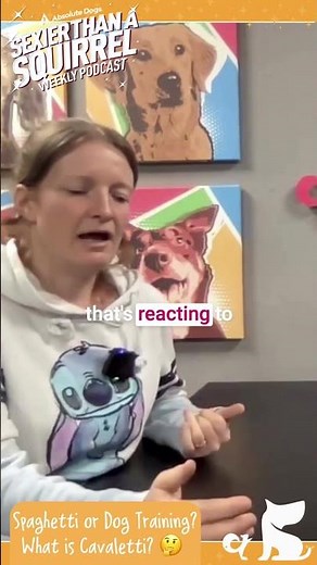 Spaghetti 🍝 or Cavaletti? Cavaletti training for dogs