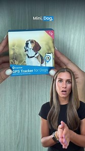 1K views | The best GPS Pet Tracker for pet lovers!   Live Tracking: Know where your pet is in real-time  Get alerted when your pet leaves the designated area  Track your pet's health and fitness levels  View all the places your pet has explored  100% Waterproof Join the thousands of pet lovers who trust Tractive to keep their pets safe. Order now and track your pet's adventures! | Tractive | Facebook