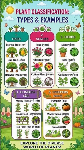 So you know about plants? #seenuprt #ytshorts #viral #explore #primaryschool #gardening #ytcreator