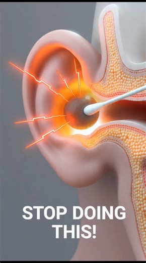 The Science of "Auricular Stimulation" 🧪👂 #shorts #science #3d #biology