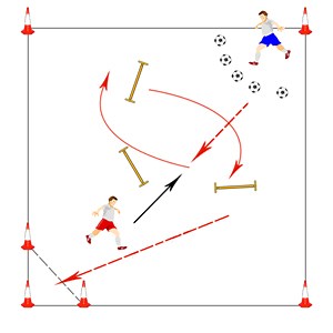 Gucci Black-white Calf-hair Zebra Print Pumps